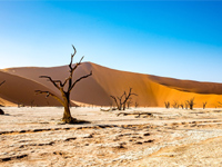 Petite Namibie
