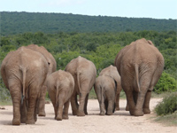 Namibie Authentique