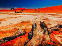 Découverte de la Namibie