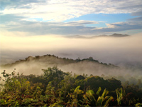 Nature et vie sauvage de Sabah