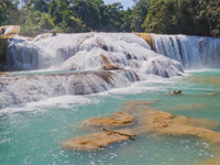 Yucatan & Chiapas