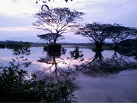 Joyaux du Sri Lanka version de mai à septembre		