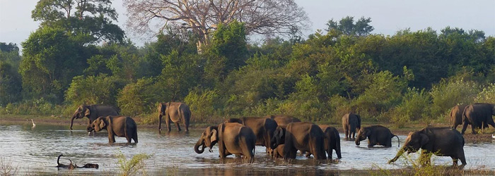 sri lanka